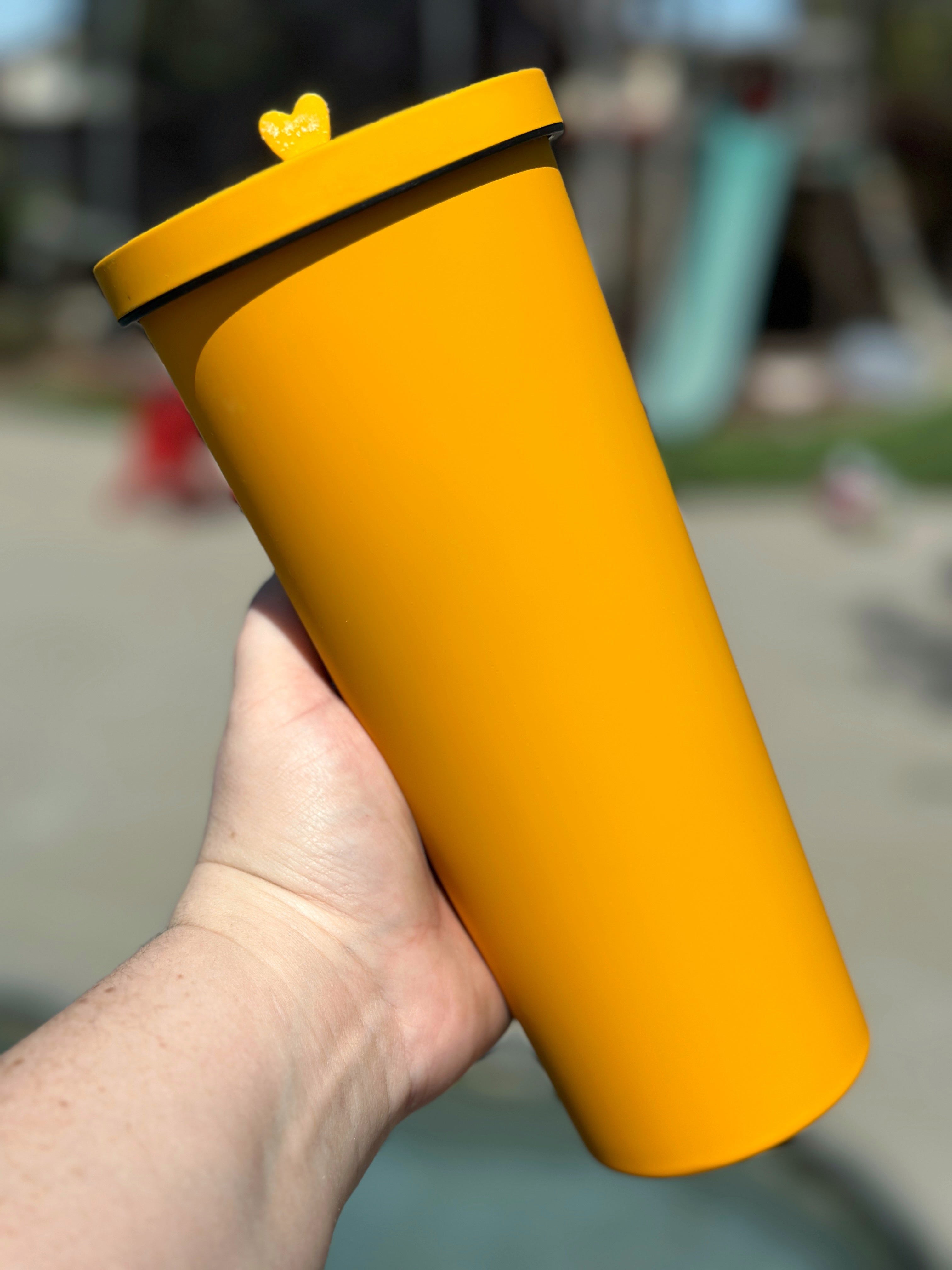 Corkcicle Tumbler With Straw,Lid, and Handle, Reusable Water Matte